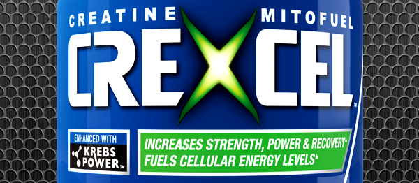 ANS Performance launch their creatine CreXcel direct