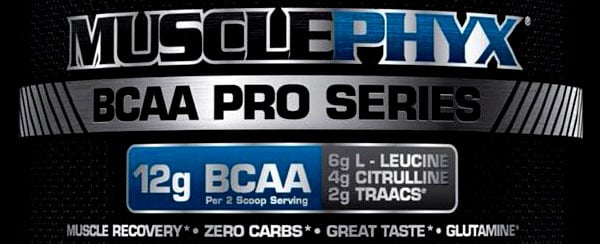 American Muscle confirm an update for their BCAA supplement MusclePhyx