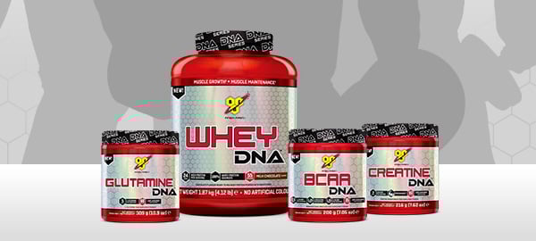 bsn whey dna