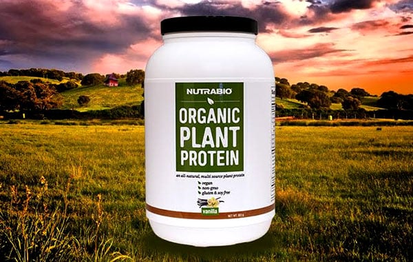 organic plant protein