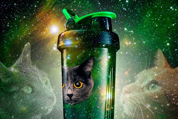 galaxy cat blenderbottle