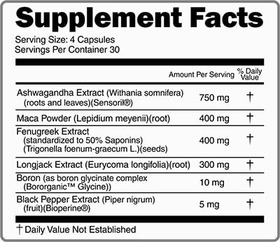 primeval labs neanderthal