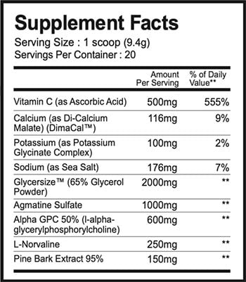 1st phorm alphasurge powder