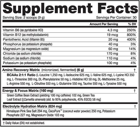 Nutrabio Amino Kick Label
