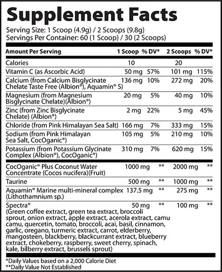 Ekkovision Ekkolyte Label