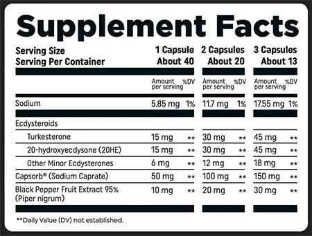 Htlt Turk Builder Label