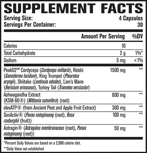 Jacked Factory Build Xt Max Label