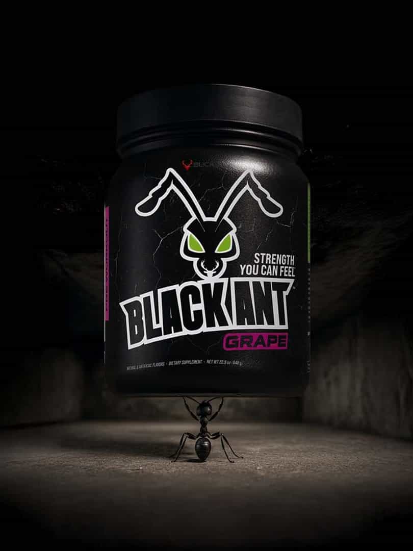 Bucked Up Black Ant