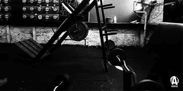 Animal Pak open up alpha testing for their next new supplement Animal Pak open up alpha testing for their next new supplement
