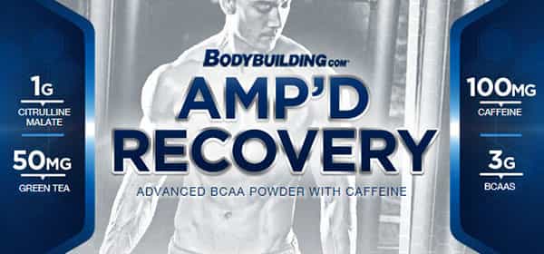 Bodybuilding.com release their second Platinum supplement for 2014 Amp'D Recovery Bodybuilding.com release their second Platinum supplement for 2014 Amp'D Recovery