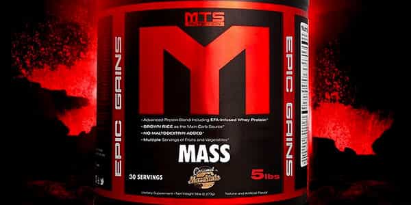 Facts panel for Lobliner's worthy MTS Epic Gains now available Facts panel for Lobliner's worthy MTS Epic Gains now available