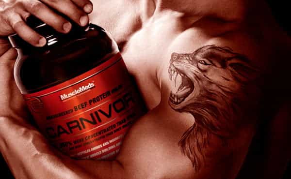 carnivor