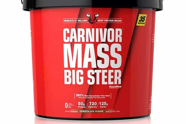 carnivor mass big steer