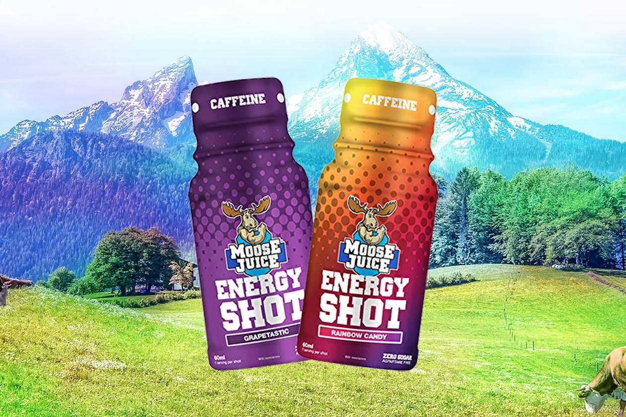 Moose Juice gets concentrated down into a 60ml energy shot Stack3d