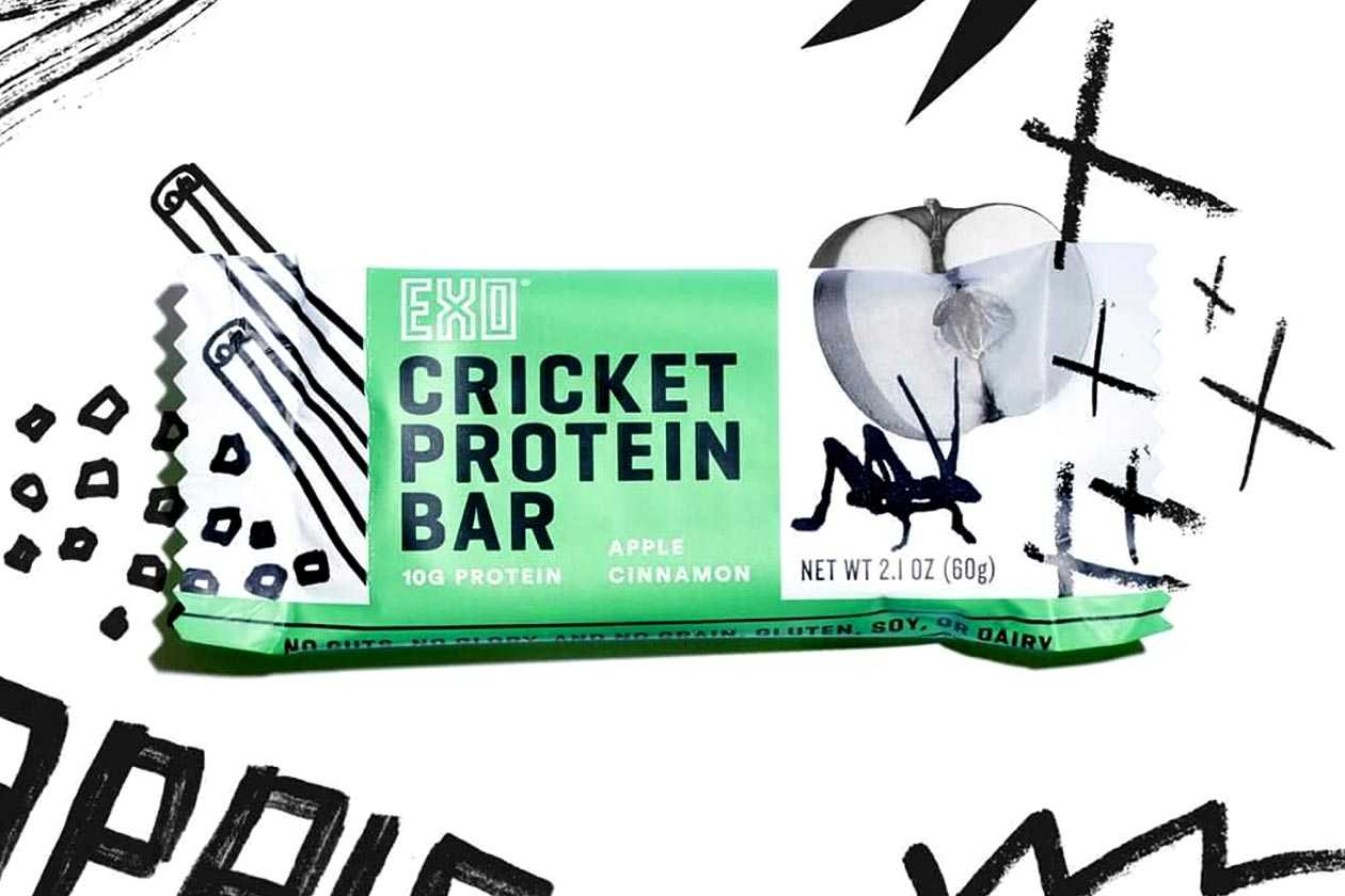 exo cricket protein bar