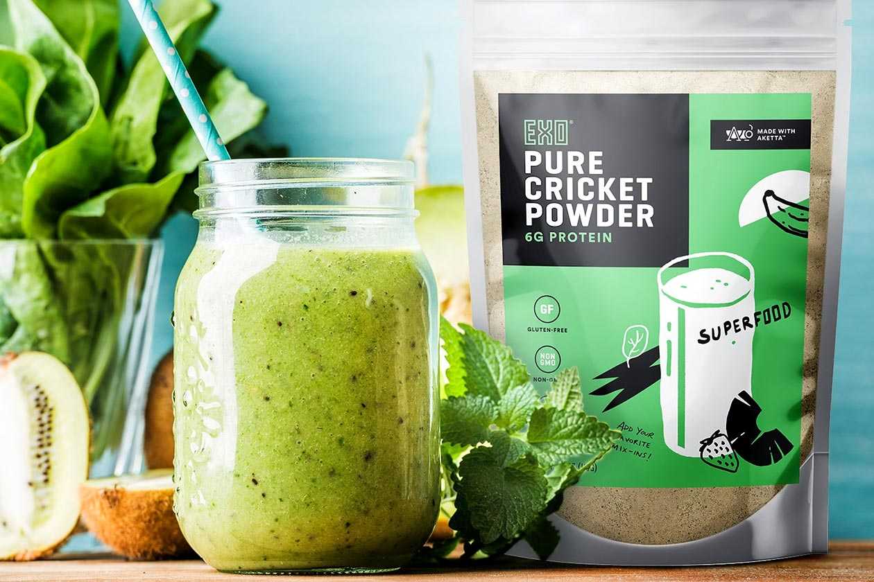 exo pure cricket protein