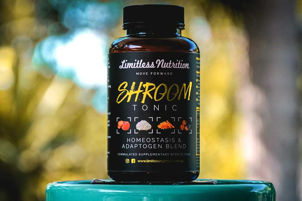 limitless nutrition shroom tonic