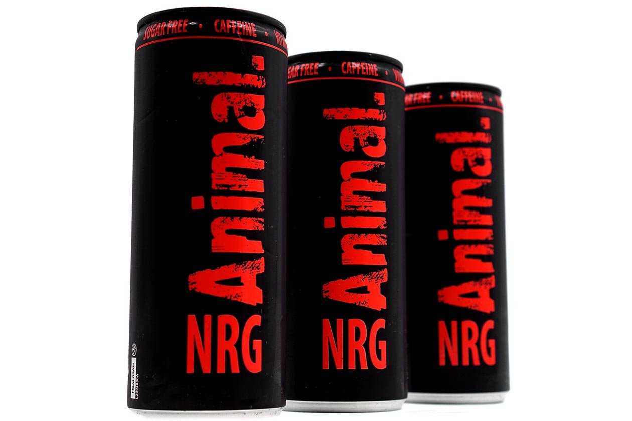 Animal NRG Review: Comfortable and classic energy drink-like flavor -  Stack3d