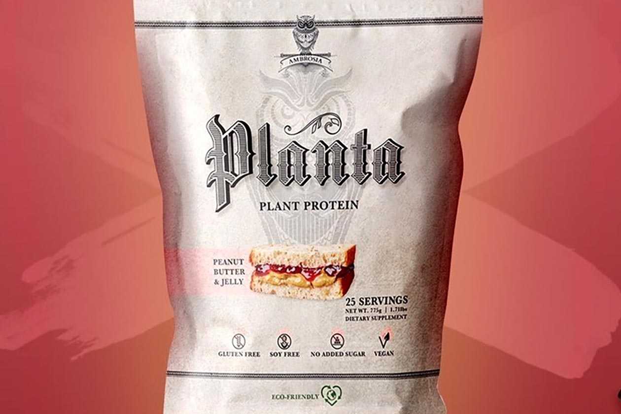 Peanut Butter and Jelly Planta to kick off the month of June for Ambrosia