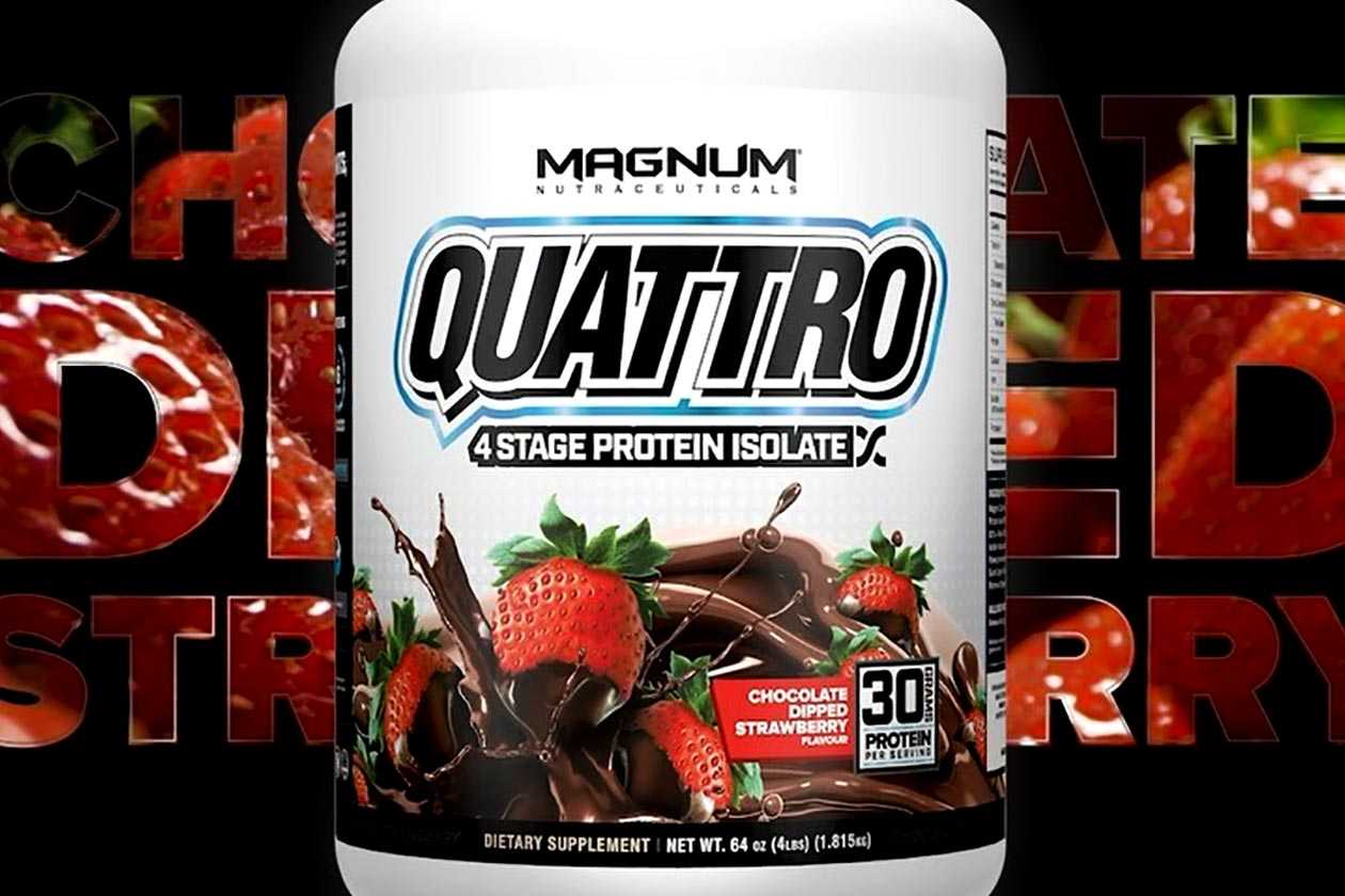 magnum chocolate dipped strawberry quattro