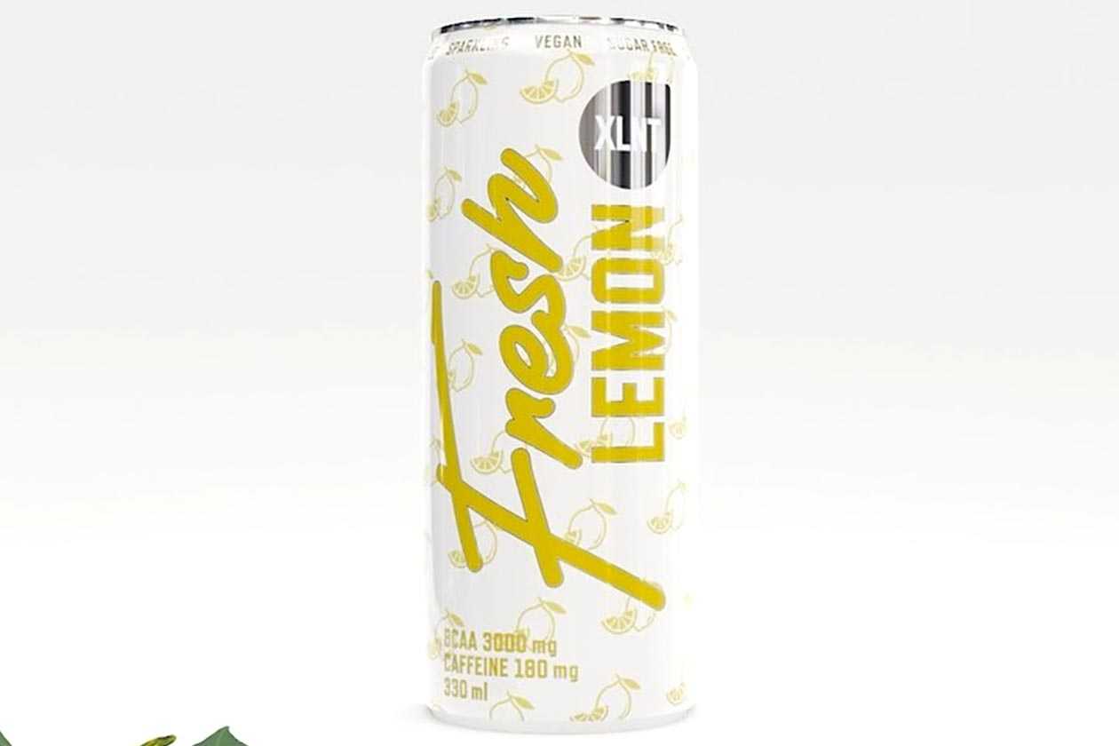 xlnt sports fresh lemon bcaa energy drink