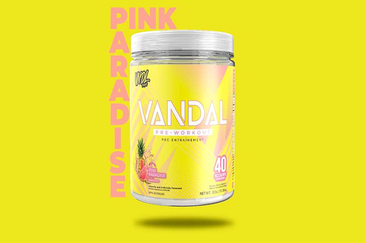 Vndl Project Pink Paradise Vandal Pre Workout