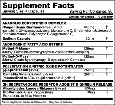 Performax Labs Massmax Label