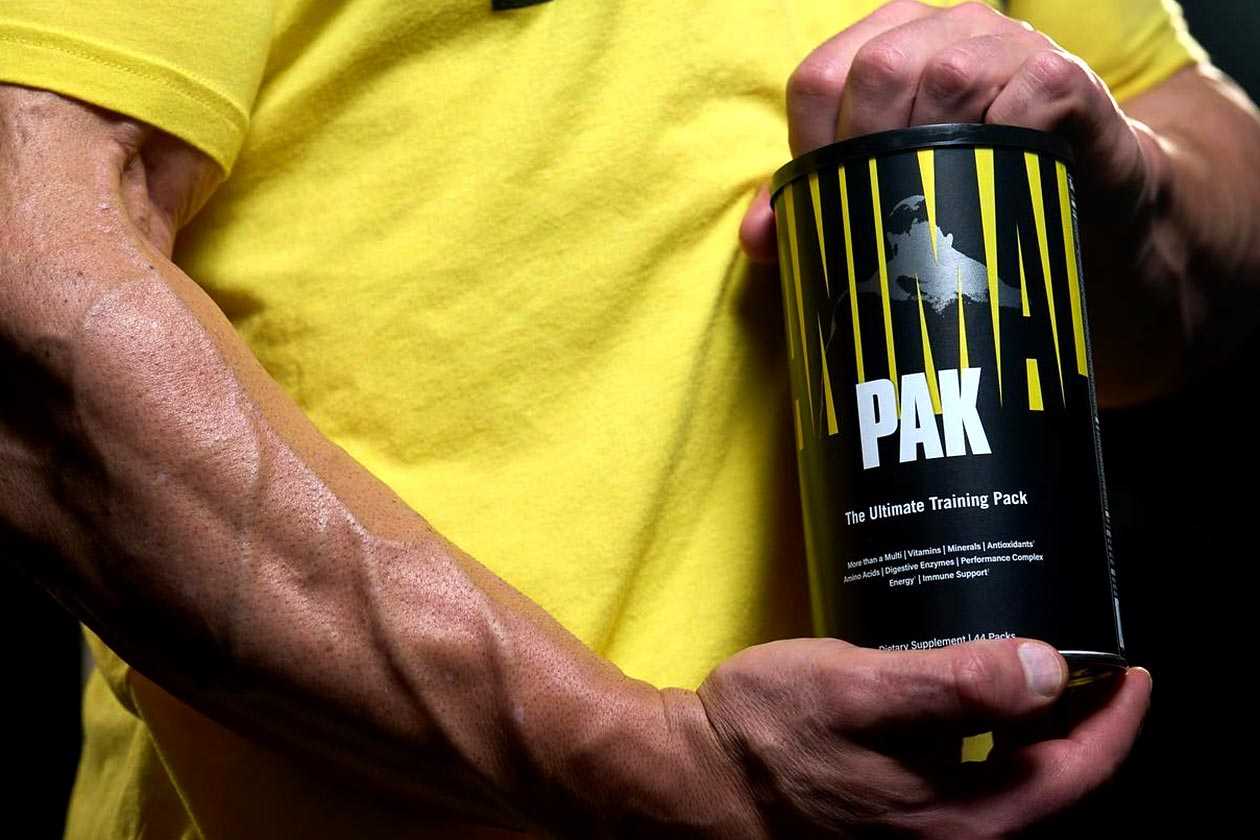 Animal reveals the allnew branding for its 39th year in the industry