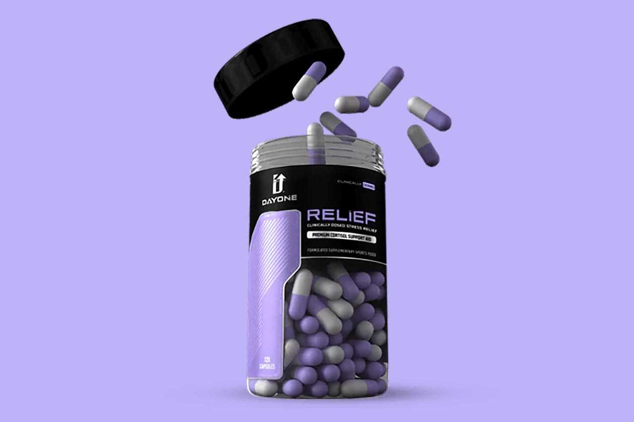 Day One Performance Relief