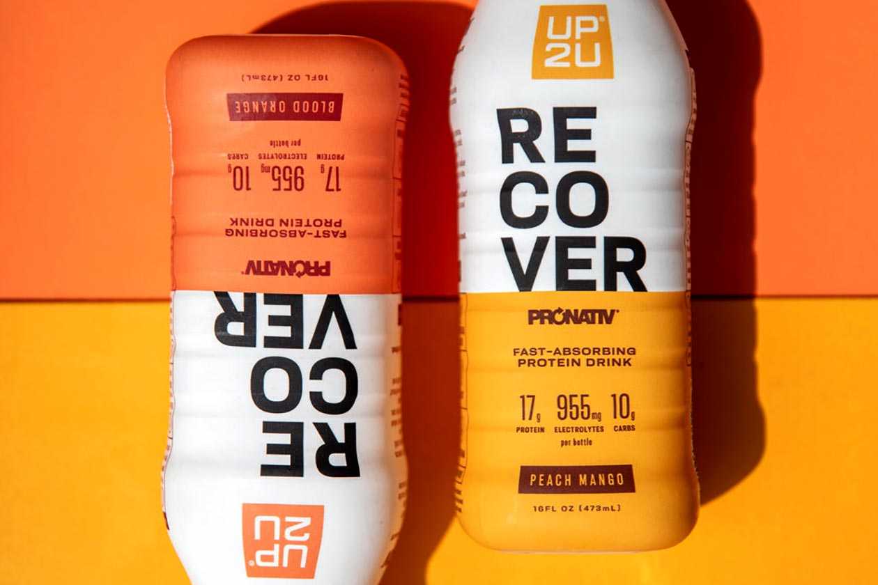 Up2u Recover Protein Shake