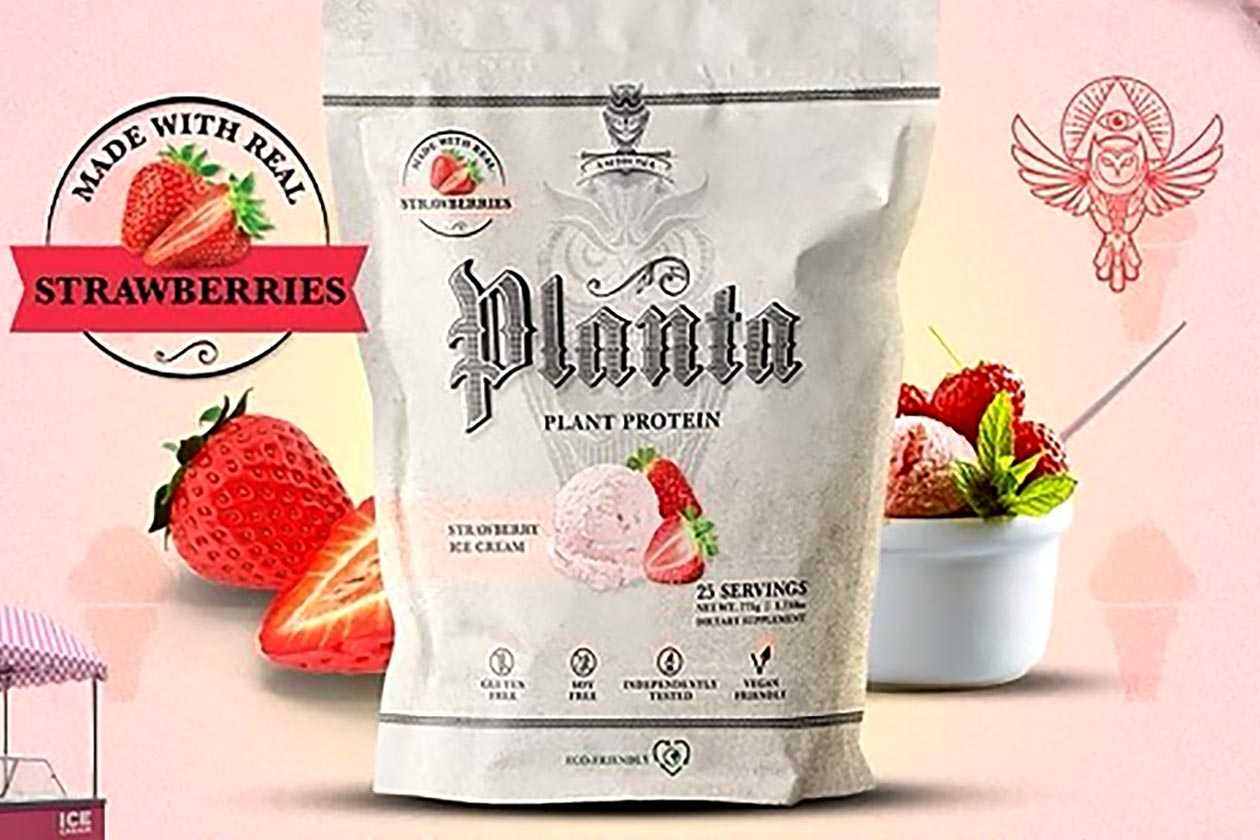 Ambrosia Strawberry Ice Cream Planta Protein Powder