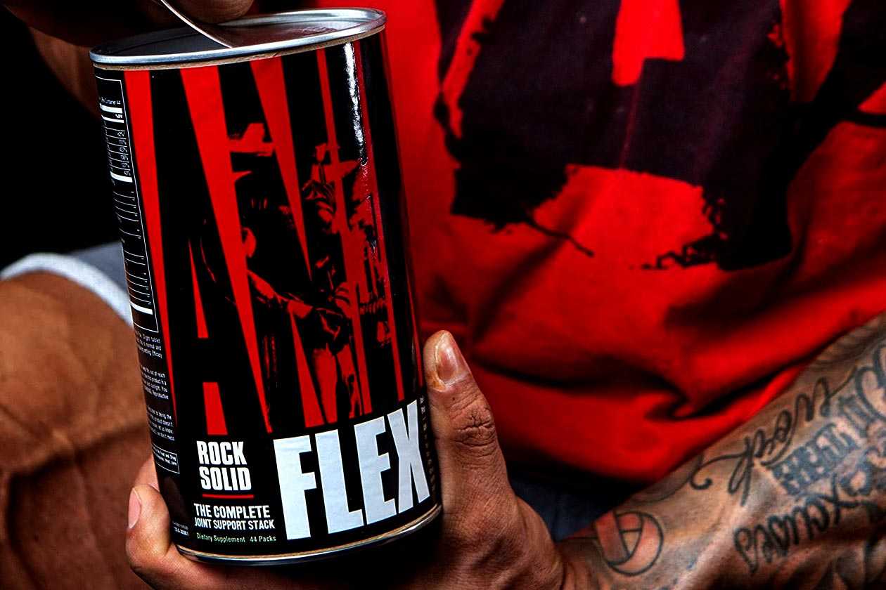Animal Flex Review: Our effective and reliable go-to for joint support - Stack3d Animal Flex Review: Our effective and reliable go-to for joint support - Stack3d