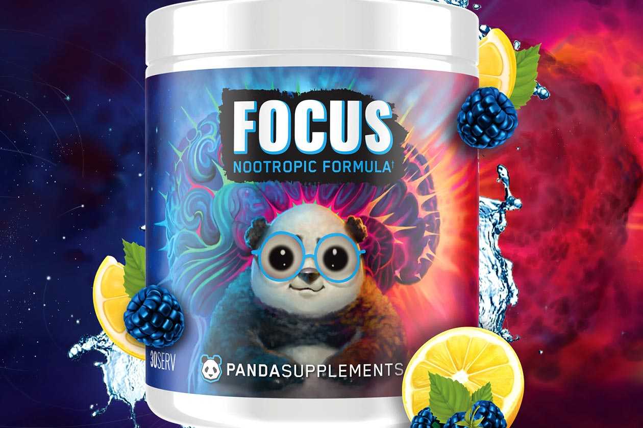 Panda Focus 2