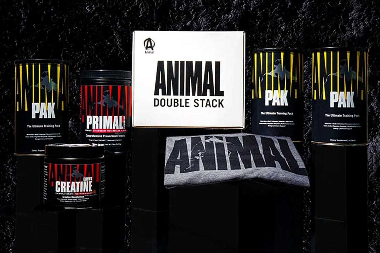 Animal Holiday Gift Boxes