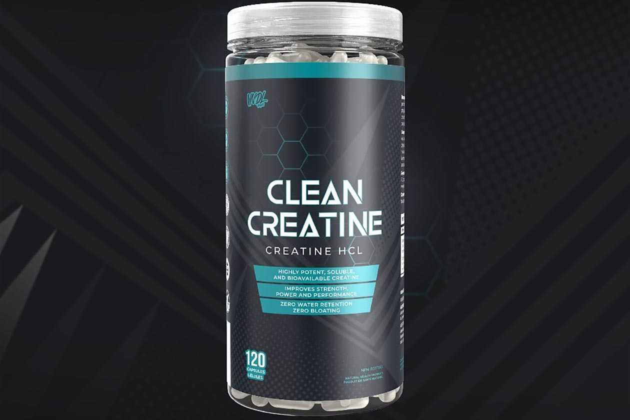 Vndl Project Clean Creatine