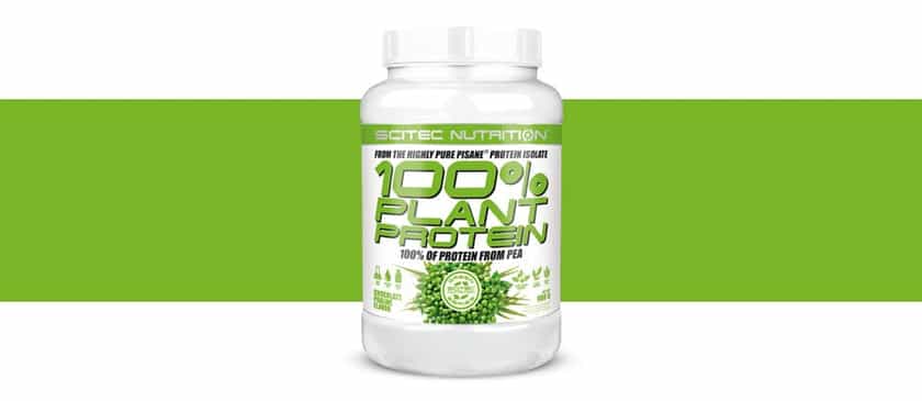 scitec plant protein