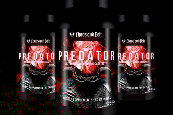 chaos and pain predator