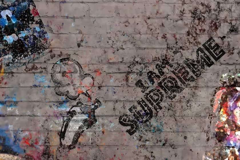 olympus labs black friday