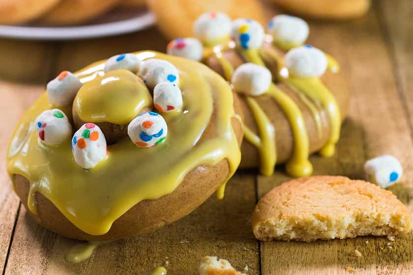 dough bar protein doughnuts