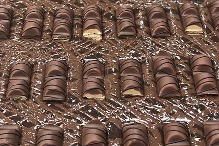 cocoa plus protein brownies