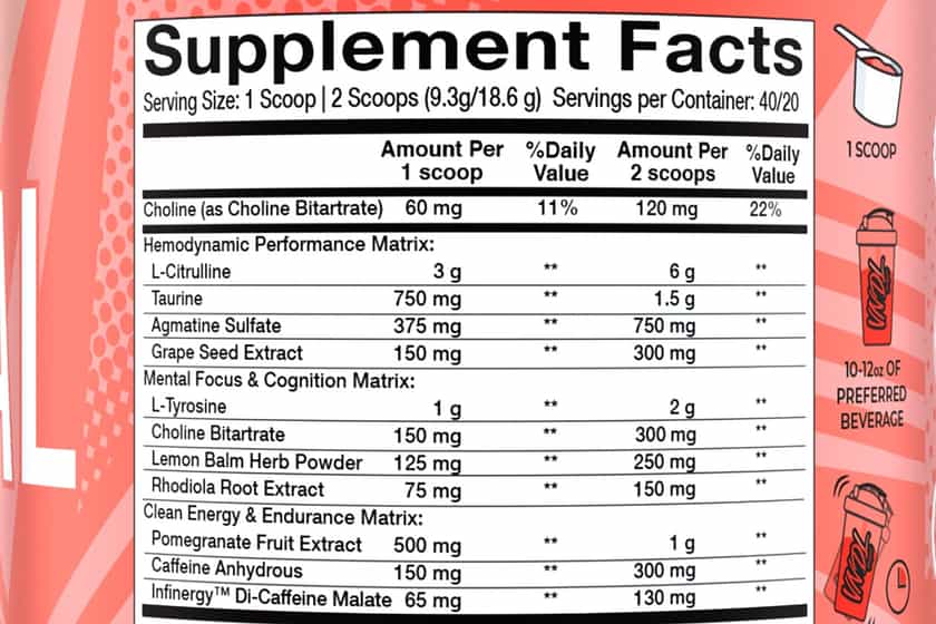 vndl project vandal pre-workout
