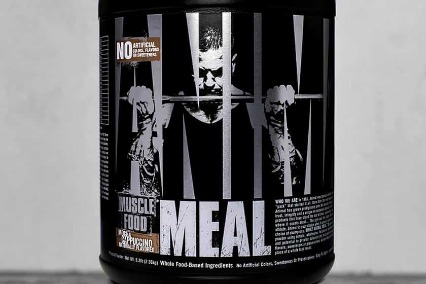 mocha cappuccino animal meal