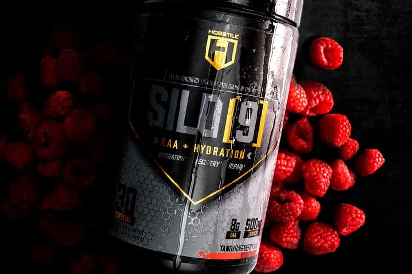 Hosstile Tangy Raspberry Silo9