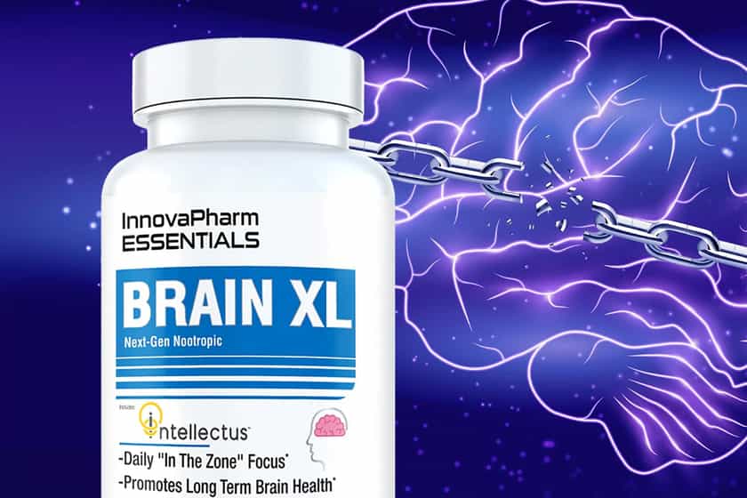 Innovapharm Brain XL