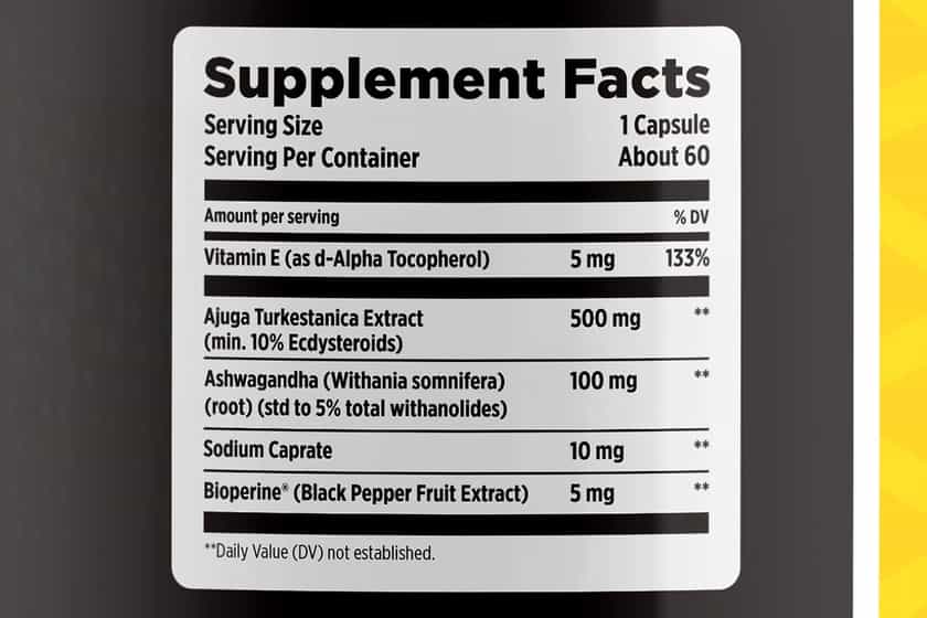 Htlt Ecdy Builder Label