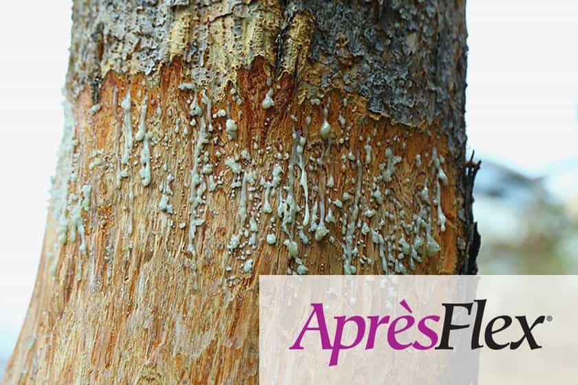 Plt Solutions Apresflex Study 1