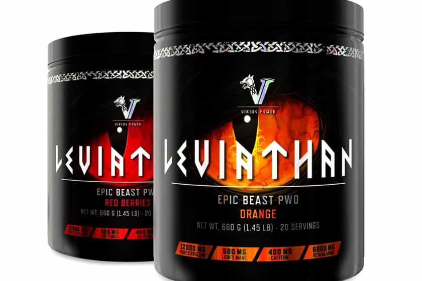 Viking Power Leviathan