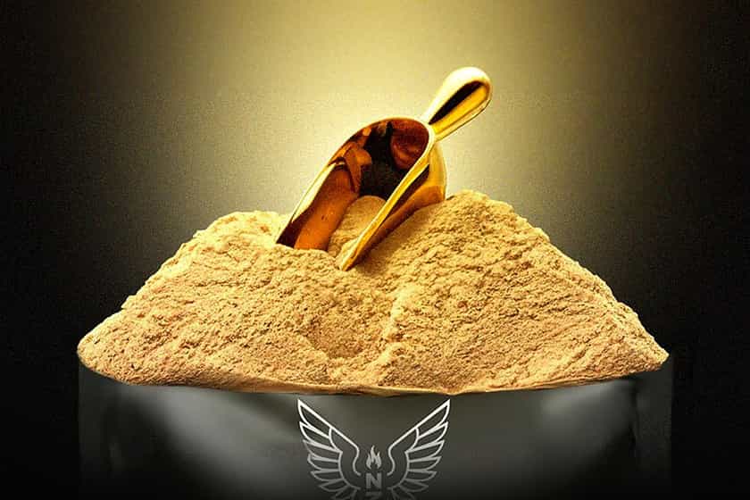 Nz Muscle Golden Scoop Contest