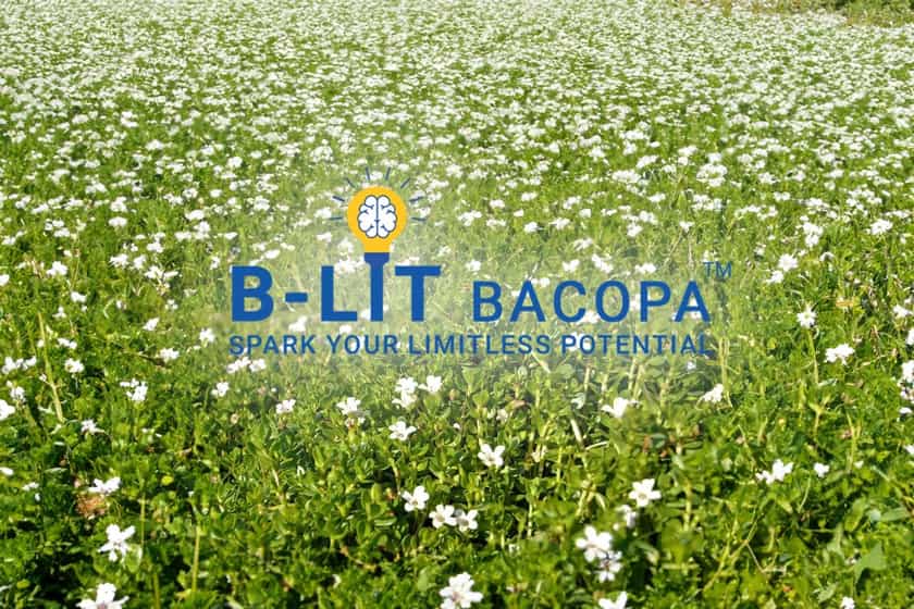 B Lit Bacopa