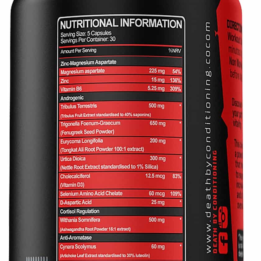 Death By Conditioning Testo Inferno Label